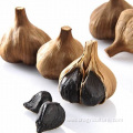 Fast Supply Organic Black Garlic Price